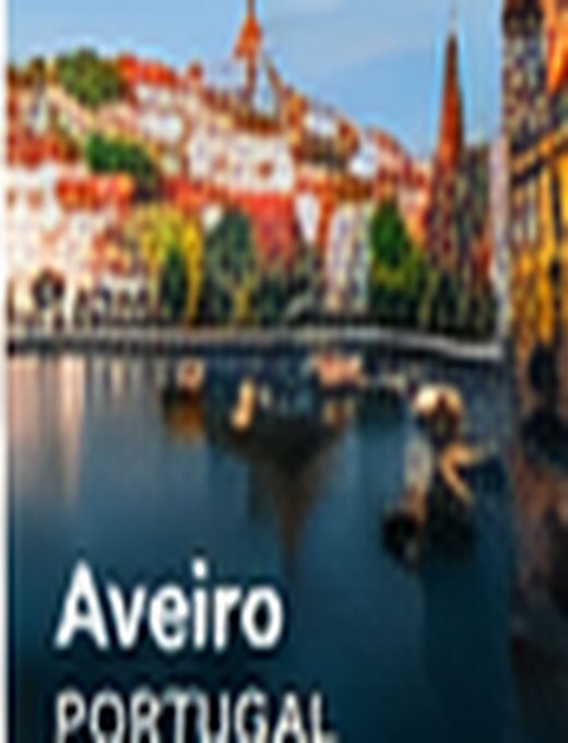 Conceptual visual for Aveiro — not original Wix media