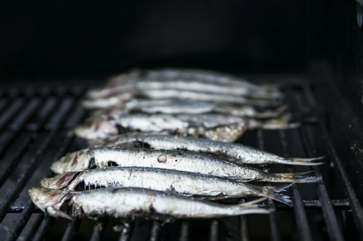 Sardines cooking on a barbecue grill.