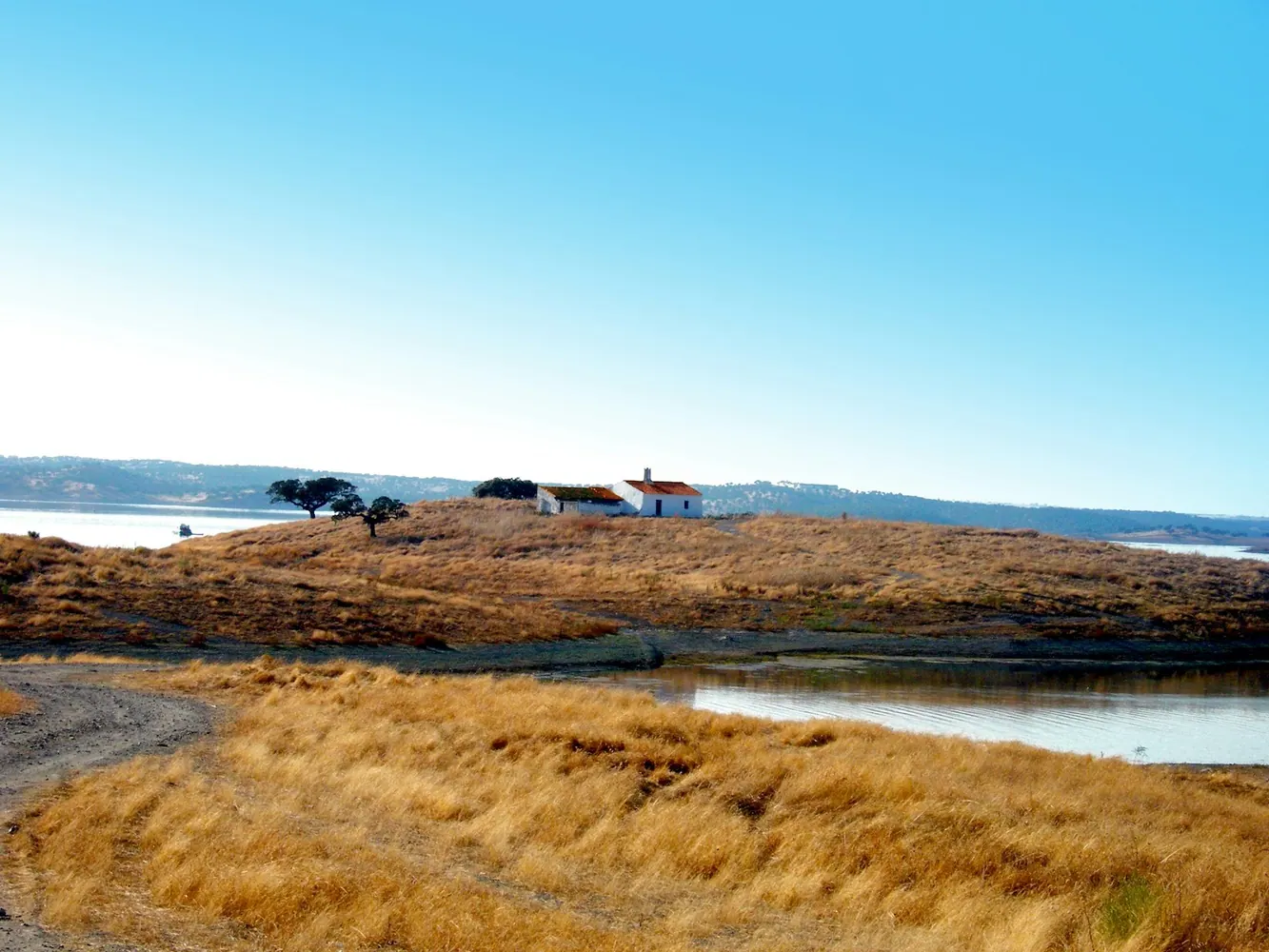 Dry grass and water along the shore of Lake Alqueva, Portugal.