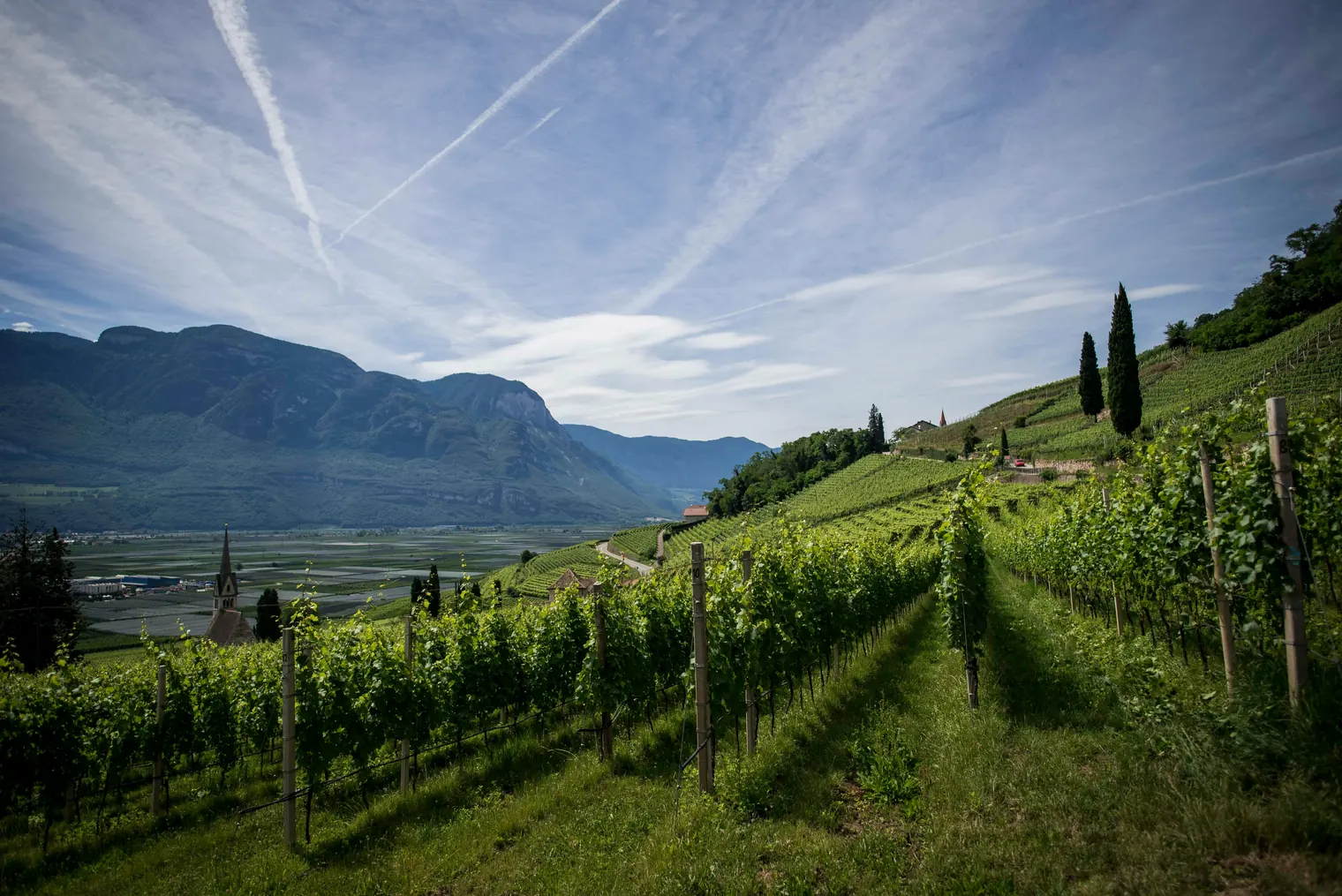 Douro Valley