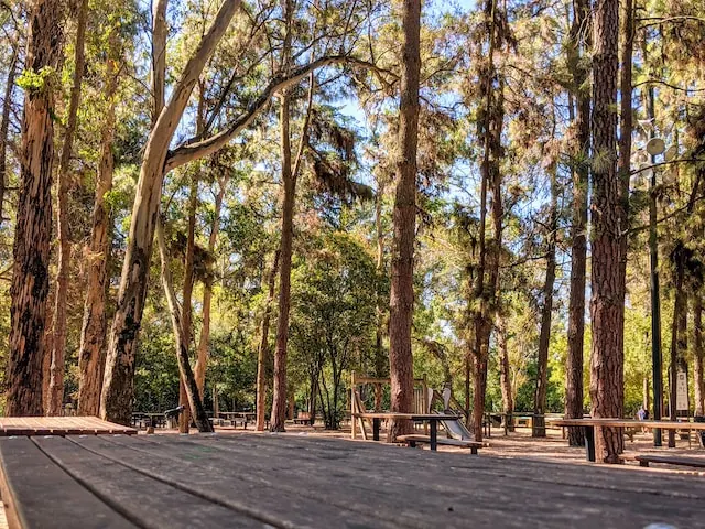 Best camping spots in Portugal