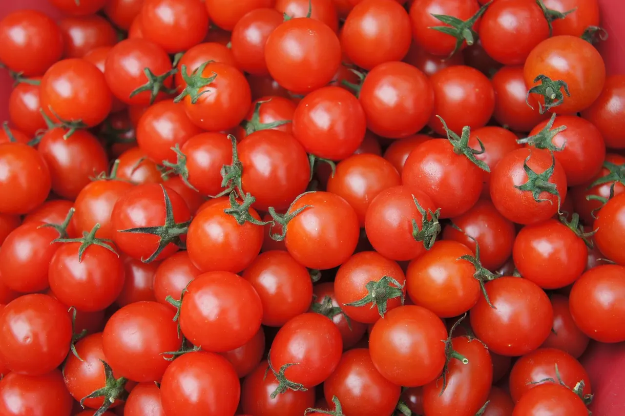 A pile of bright red cherry tomatoes fills the frame, their green stems contrasting against the vibrant red, conveying a fresh, lively mood.