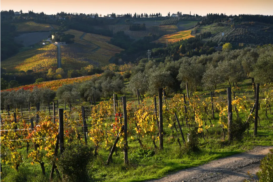 Discovering Wine Tasting Spots in Italy — Chianti Classico, Tuscany