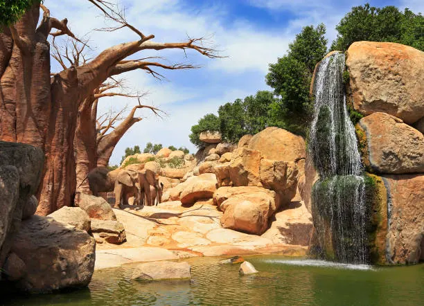 Bioparc Valencia, Spain