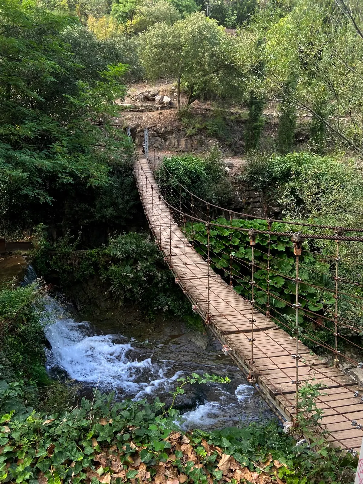 Hiking Trail to explore in the vibrant Nature of Tbilisi