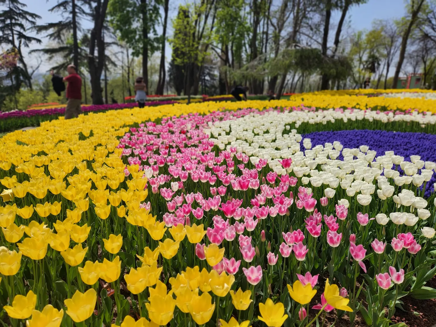Istanbul, Turkey – A Blossoming East-Meets-West Wonder