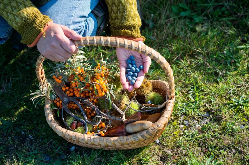Vegan and Vegetarian Restaurants in Copenhagen