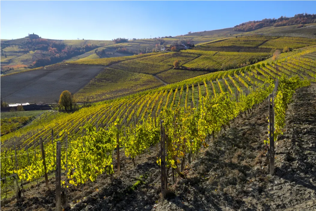 Discovering Wine Tasting Spots in Italy — Barolo, Piedmont