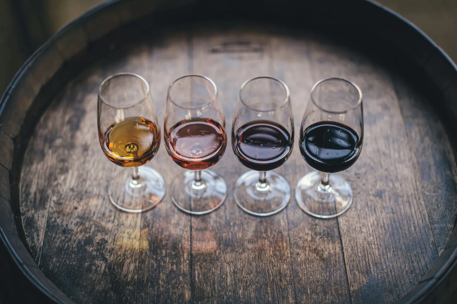 Sip, Savor, Discover: A Journey Through Porto's Wines & Cuisine