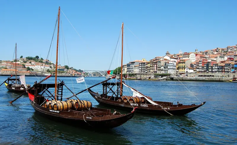 Sip, Savor, Discover: A Journey Through Porto's Wines & Cuisine