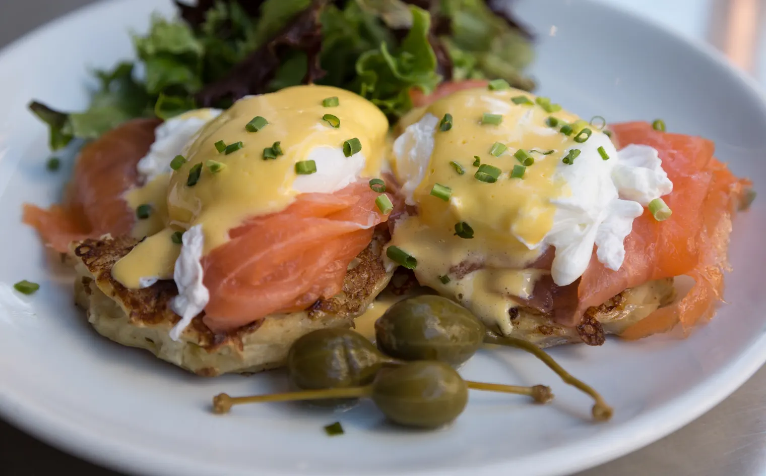 Exploring Lisbon's Finest Brunch Spots — Heim Cafe • Brunch and Breakfast •