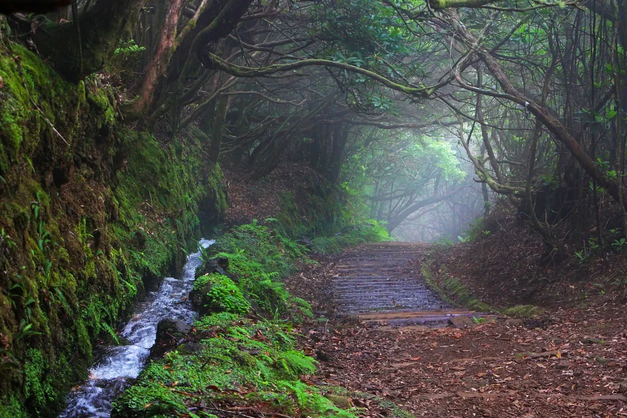 8 Must-Visit Destinations on Madeira