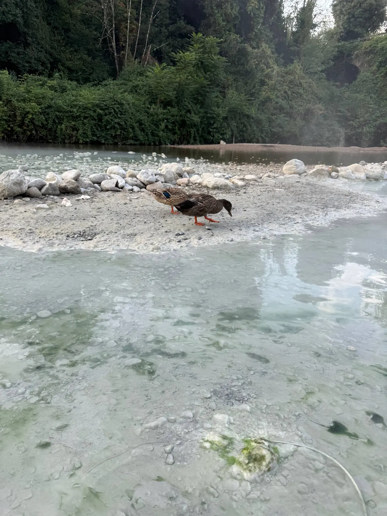 The Petriolo hot springs