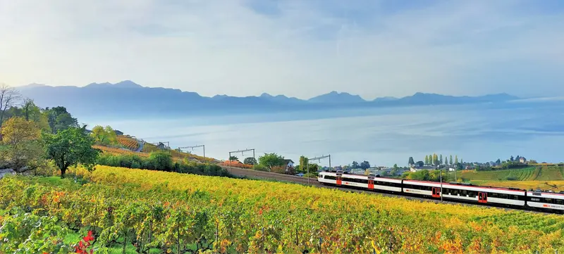 Take trains or buses for short routes — often cheaper (and more scenic!) than flights