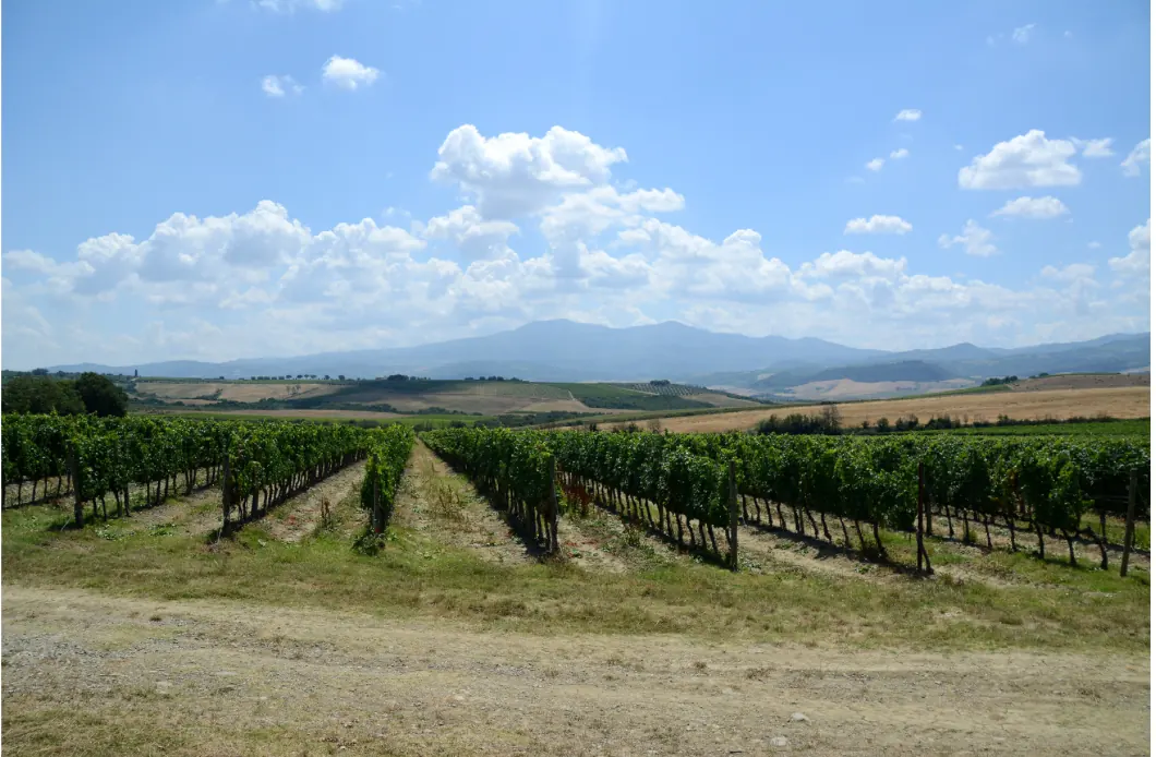 Discovering Wine Tasting Spots in Italy — Brunello di Montalcino, Tuscany