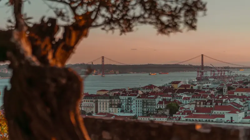 Sunset view of Lisbon’s red-roofed cityscape and suspension bridge over the river, framed by a blurred tree in the foreground.