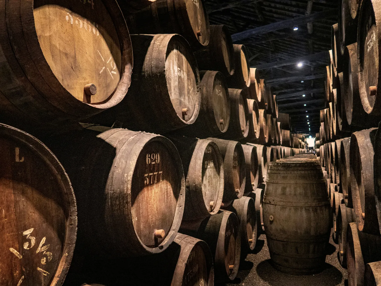 Sip, Savor, Discover: A Journey Through Porto's Wines & Cuisine