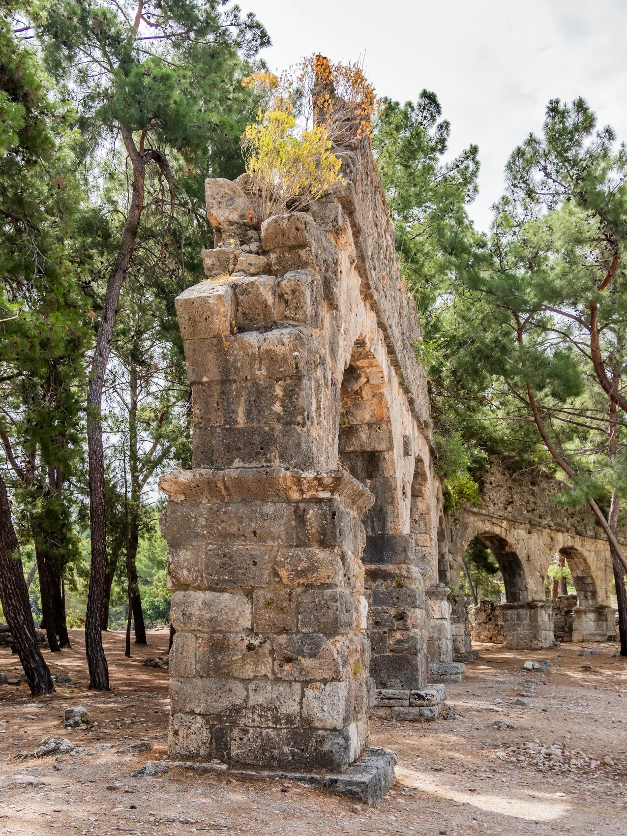 Unveiling the Timeless Charm of Antiquity: Exploring the Top 5 Ancient Cities in Antalya — 4. Phaselis Ancient City: Maritime Marvels Revisited