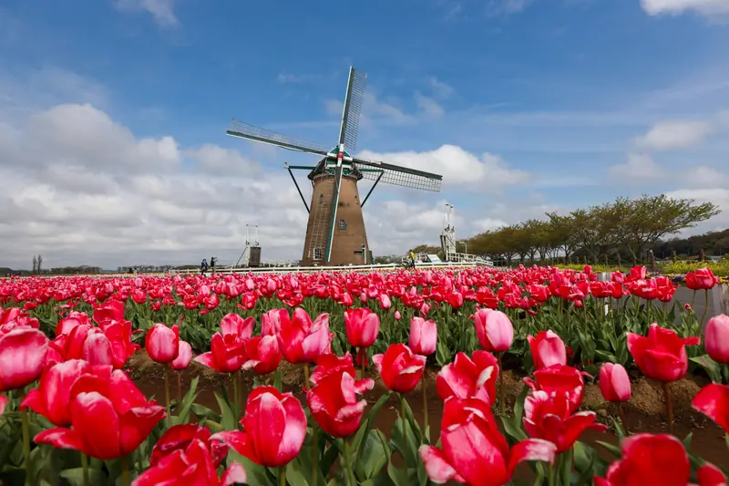 Keukenhof Gardens
