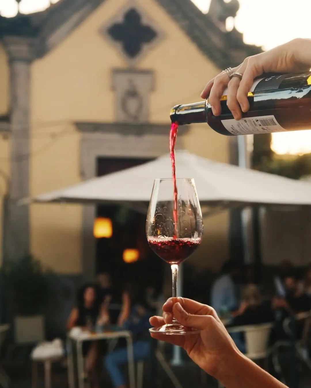 Best vineyards in Porto