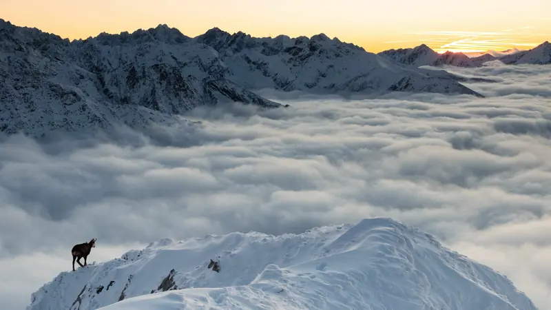 what to visit to in High Tatras