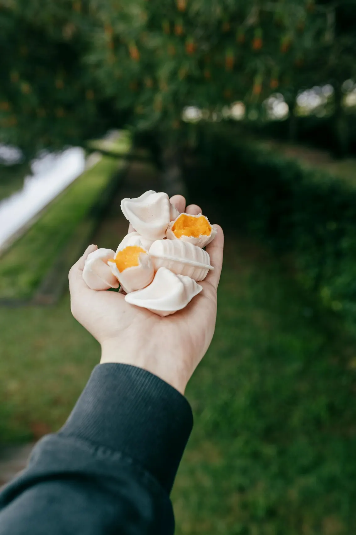 Hand holding ovoid moles, traditional sweets witch eggs and sugar, a speciality in Aveiro