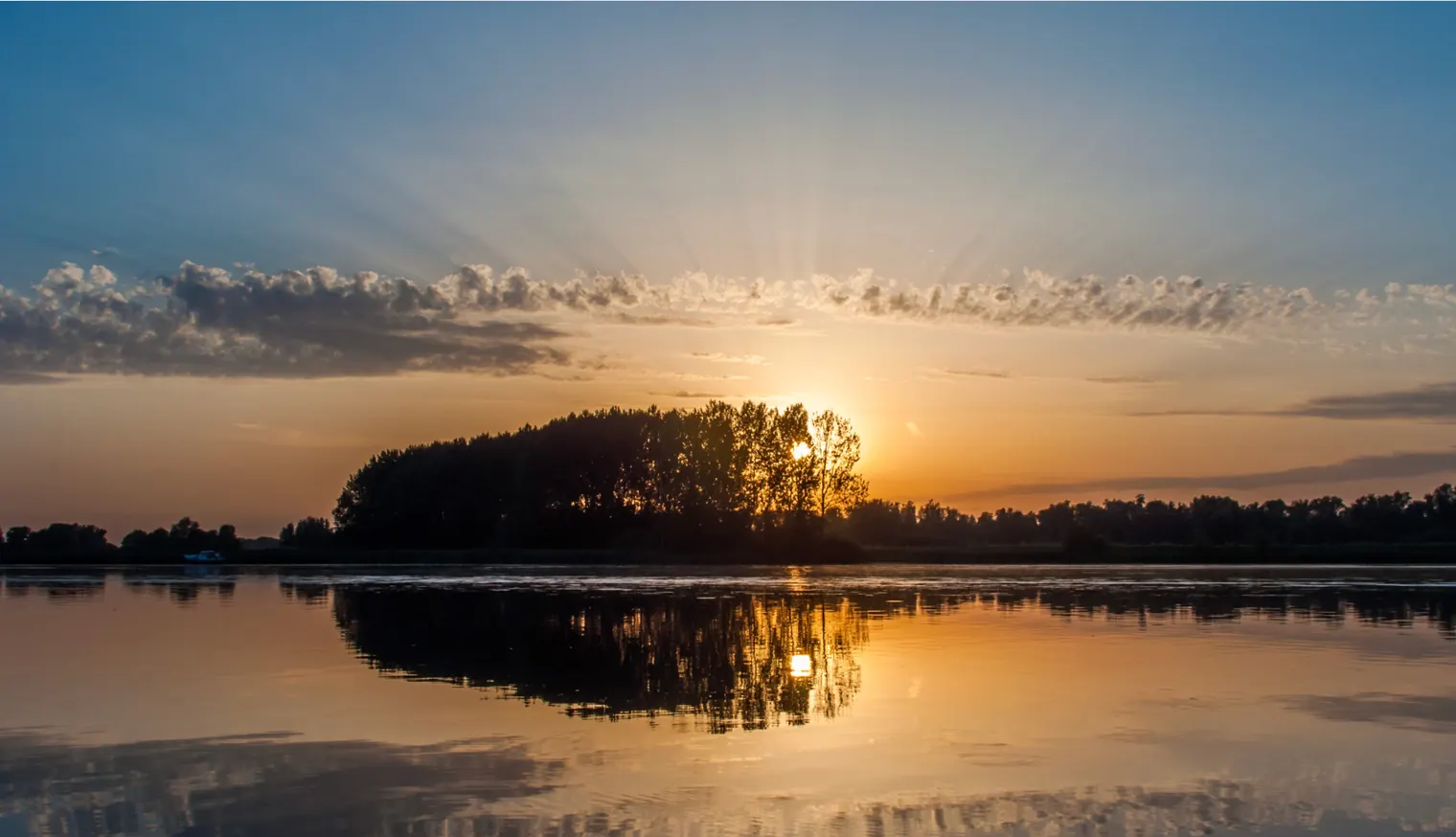 Top National Parks in the Netherlands — De Biesbosch National Park