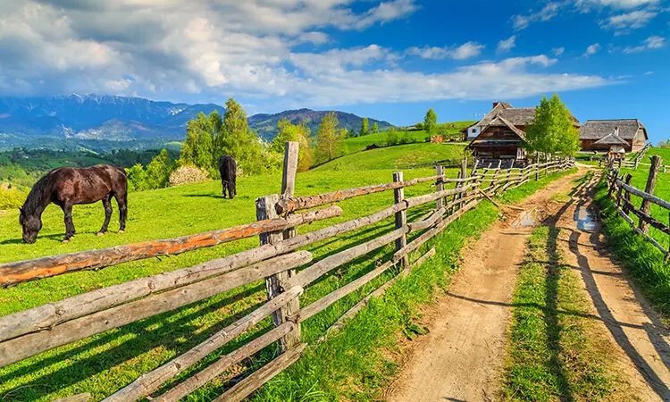 Exploring the Natural Wonders of Romania: A Journey through Enchanting Landscapes