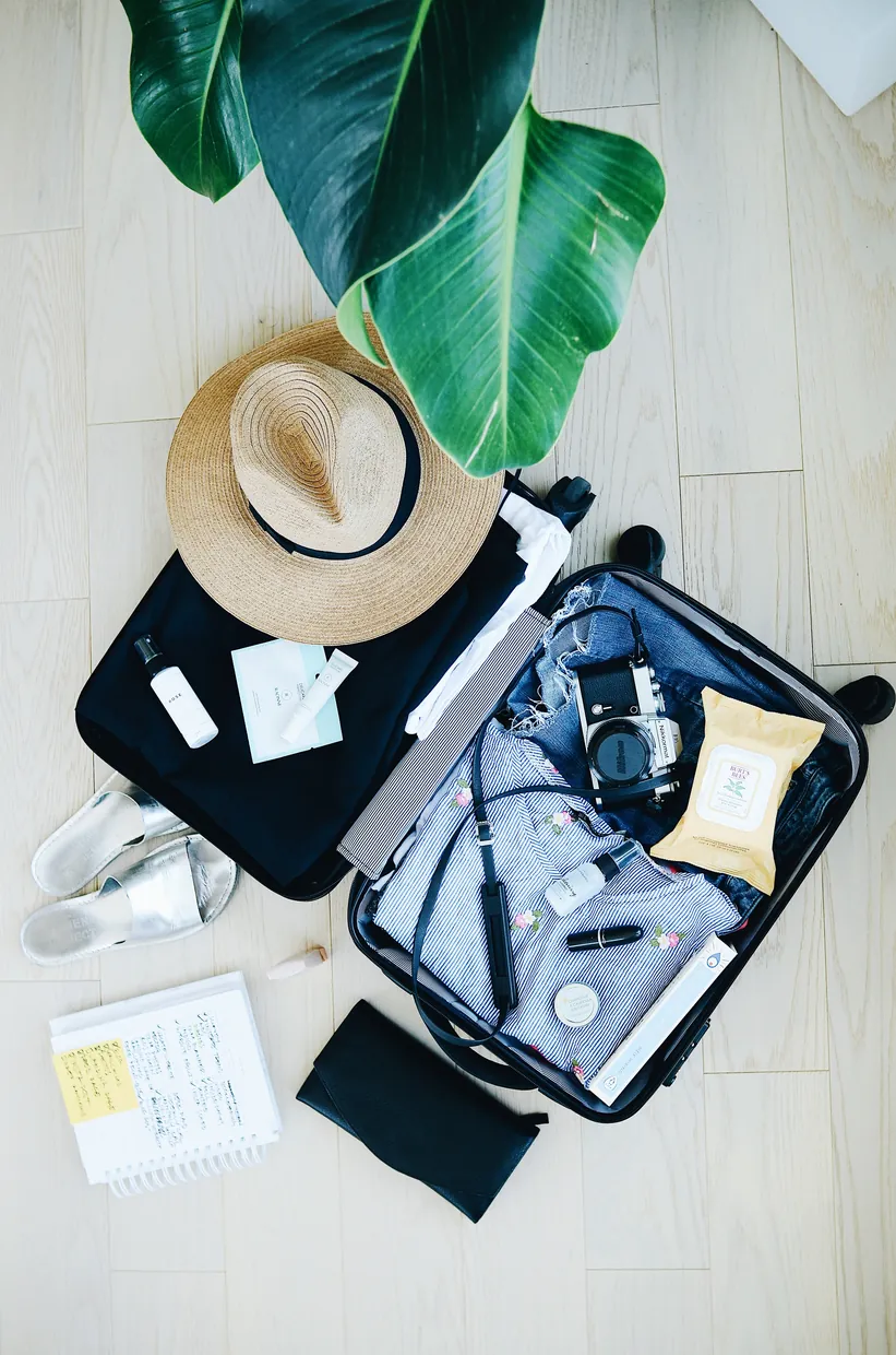 Why Travel?