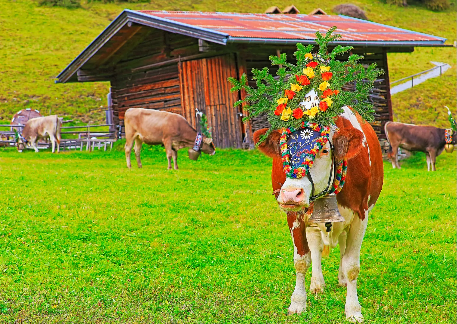 Almabtrieb