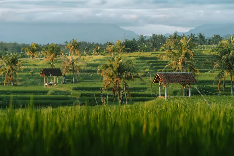 Hidden Waterfalls of Bali: Discovering the Island's Secret Gems