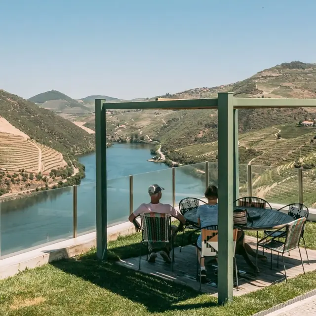 Best vineyards in Porto