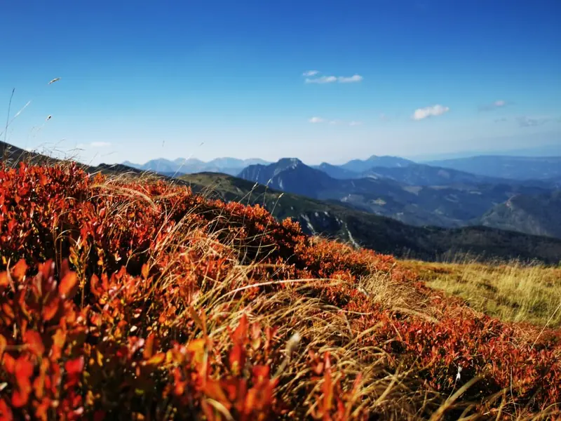 Czerwone Wierchy, Tatras Mountains