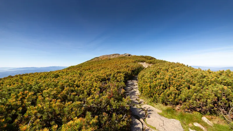 Babia Góra - Polish Mountain