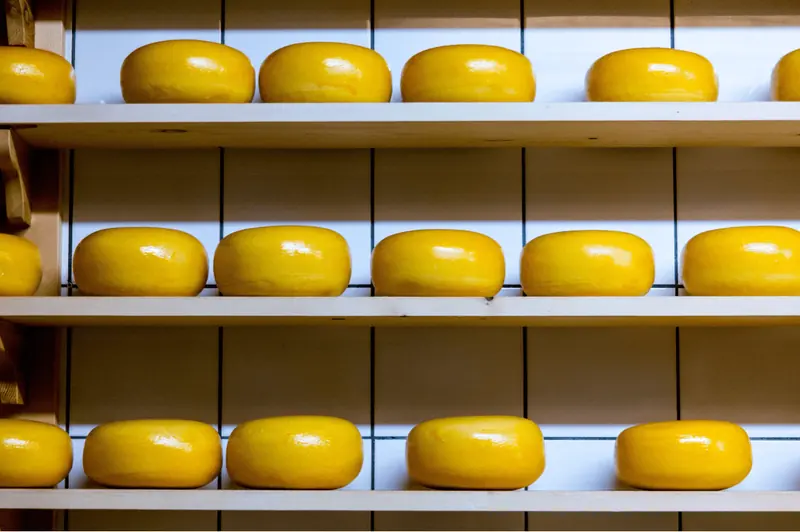 What to eat in the Netherlands?