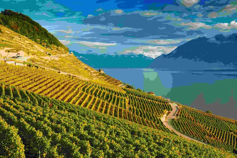 Douro Valley