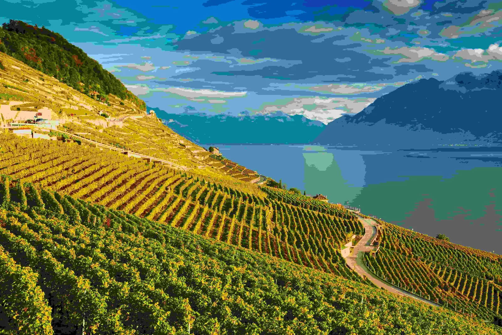 Douro Valley