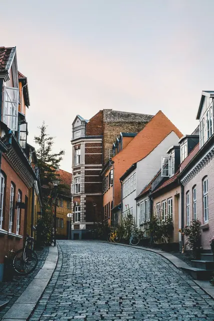 Exploring the Charms of Odense