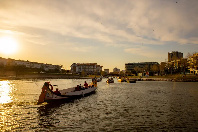 Heart of Aveiro's Summer Magic