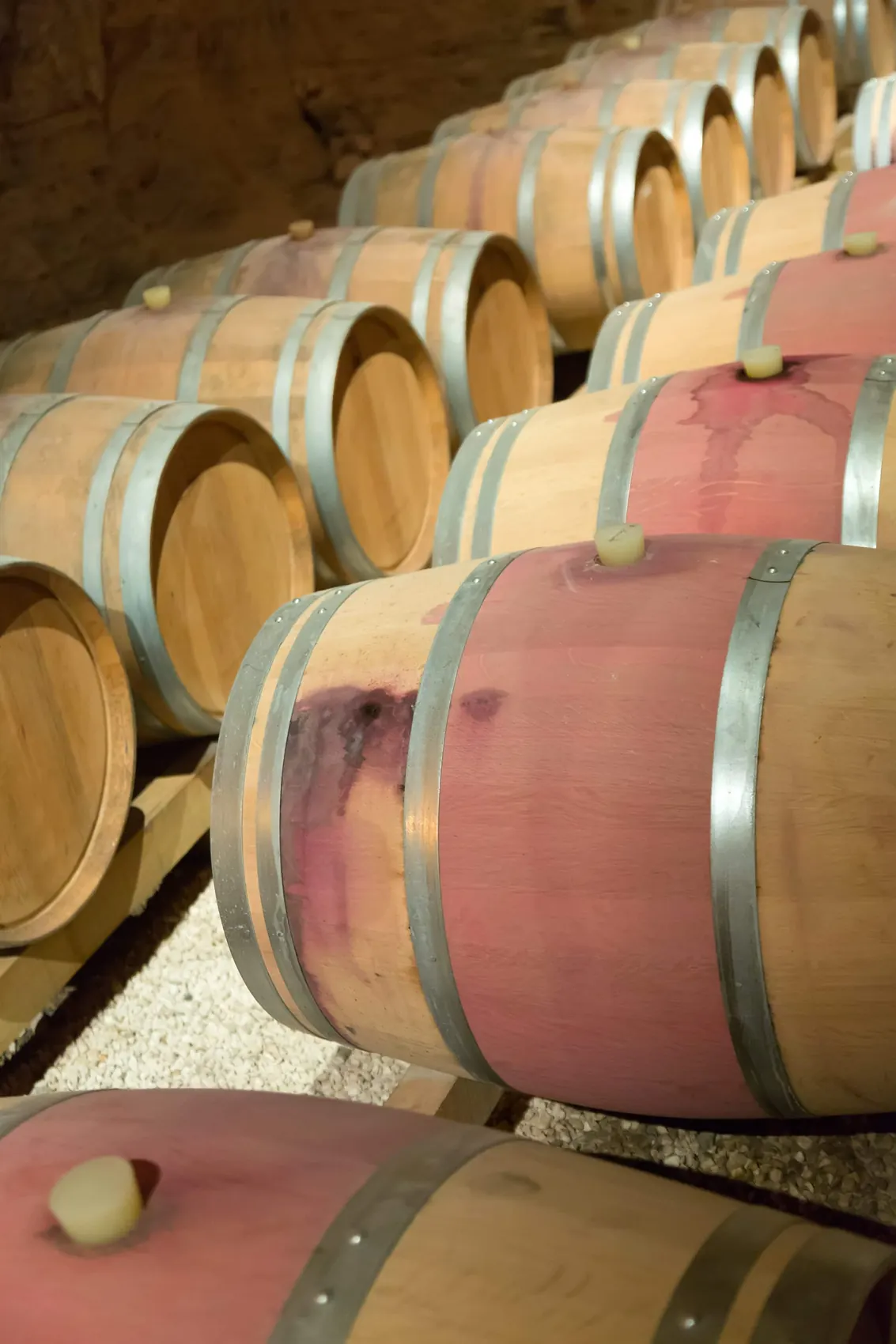 Lisbon Wine Region