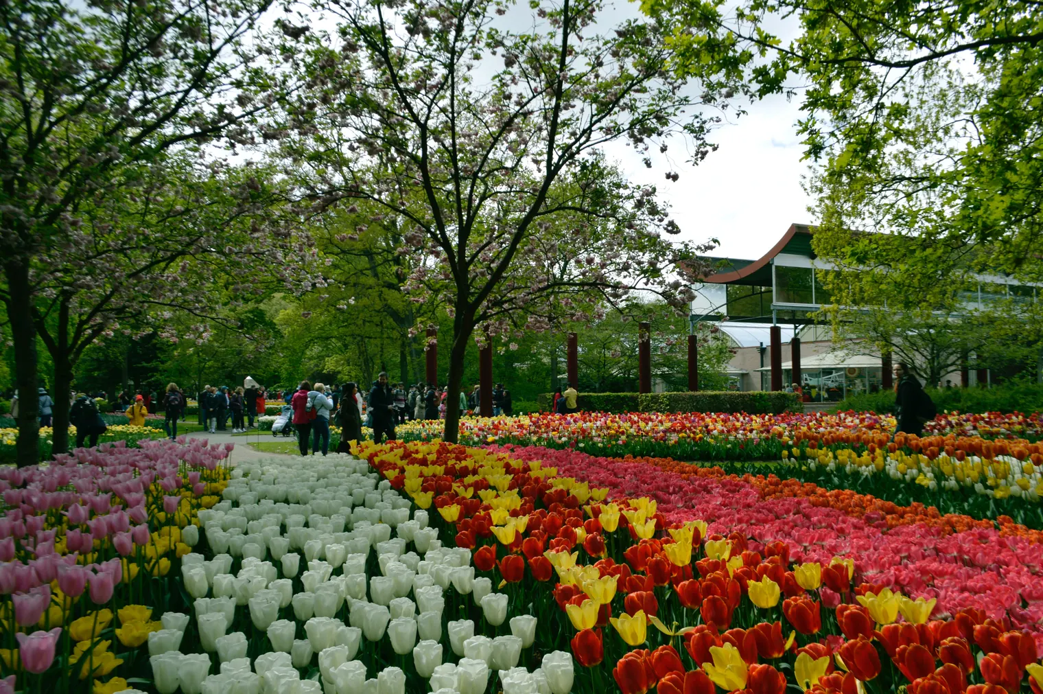 What to visit in the Netherlands