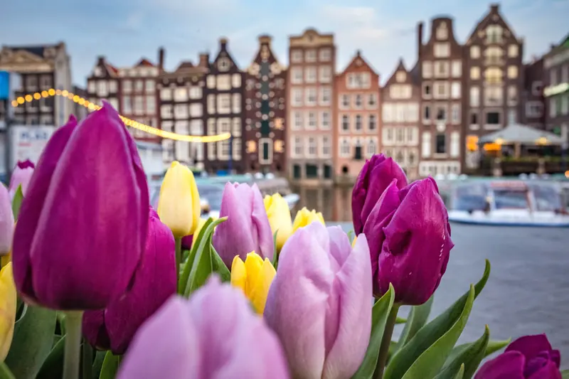 Best of Amsterdam