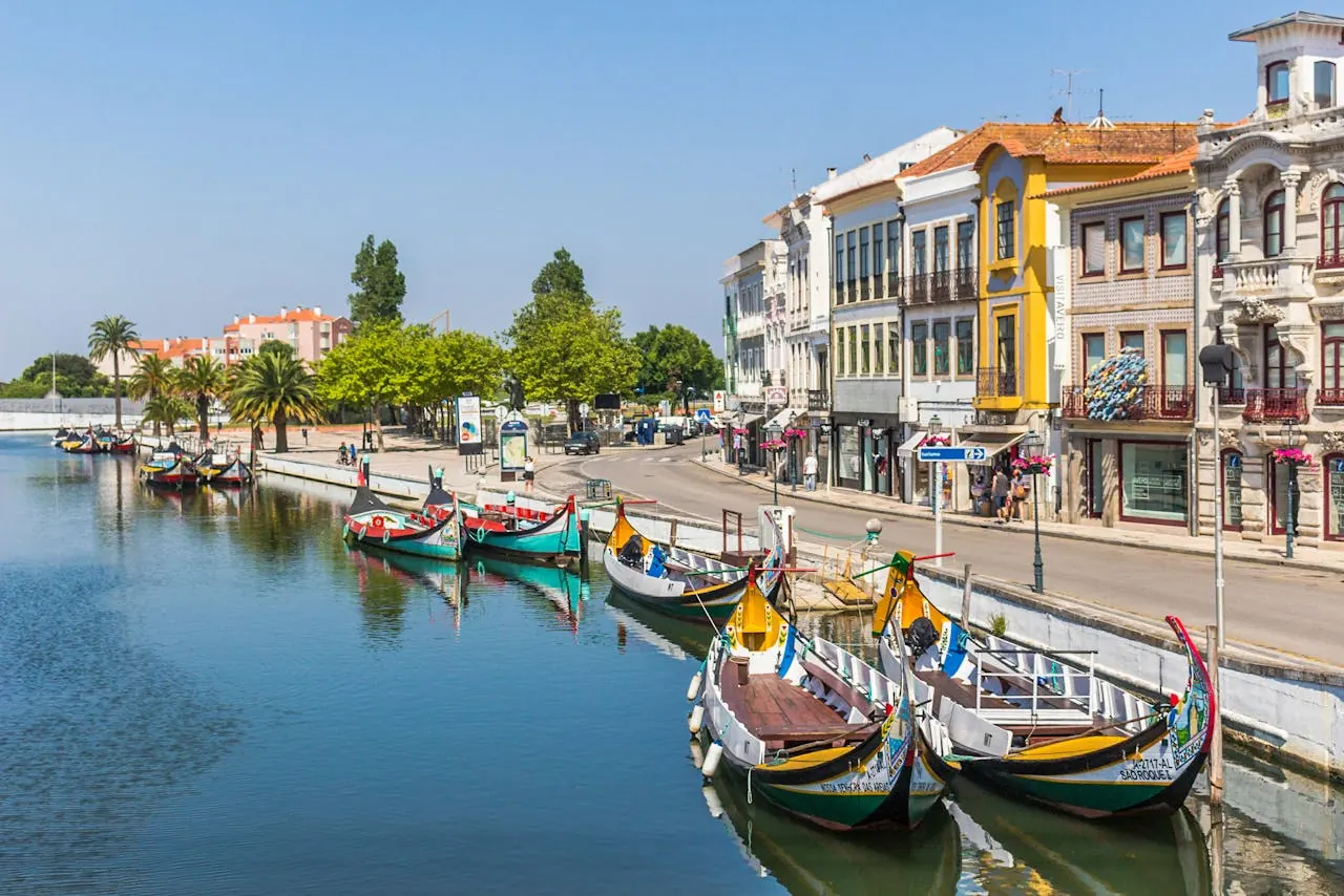 The Symbol of Aveiro: Moliceiro