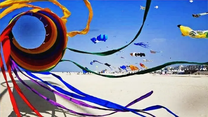 International kite festival, India