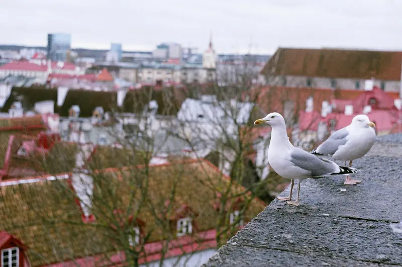 Explore Europe’s hidden cities between December and March. Discover quieter streets, lower costs, and deeper local experiences with off-peak travel.