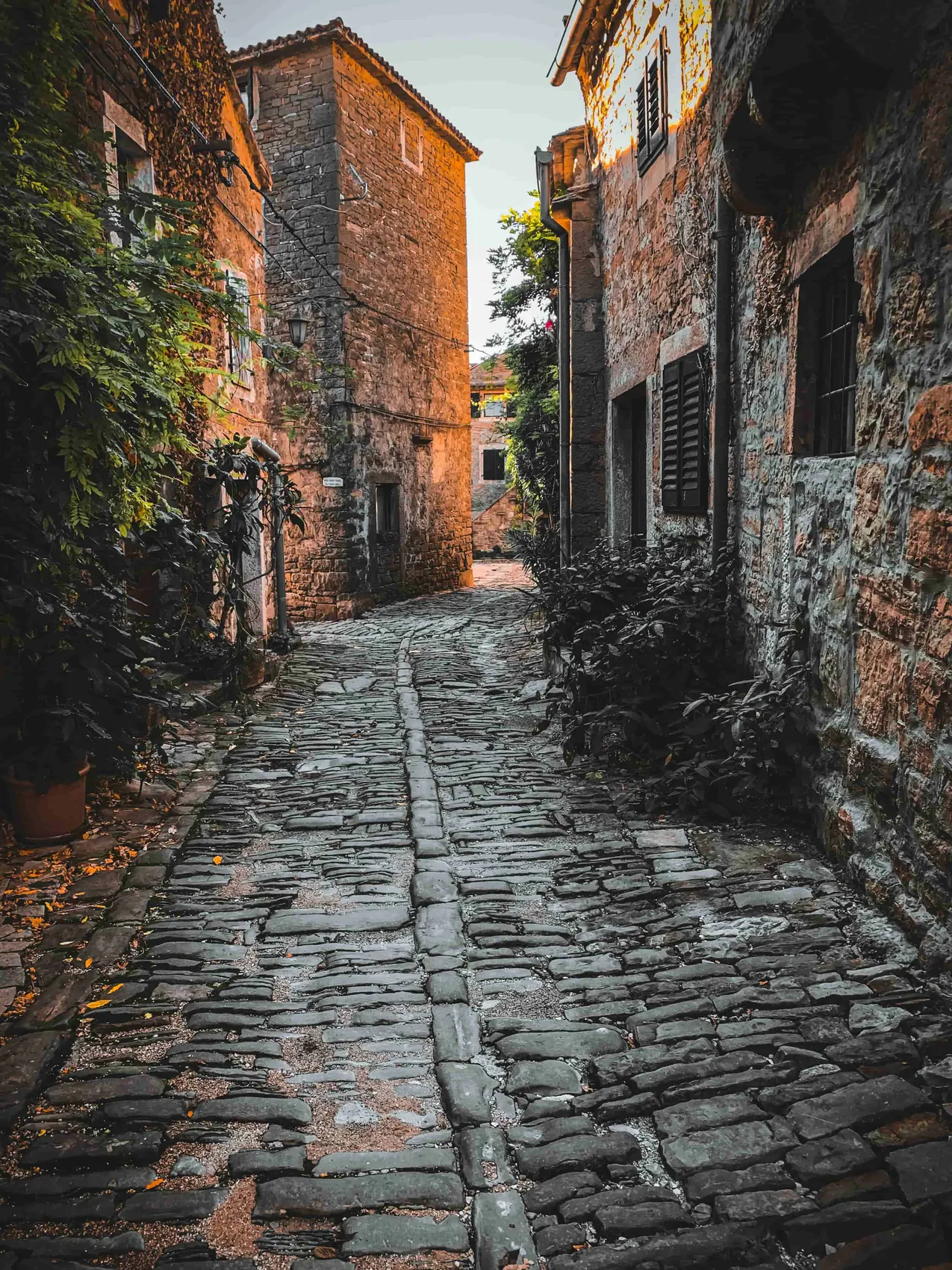 Grožnjan, town of artists, Croatia