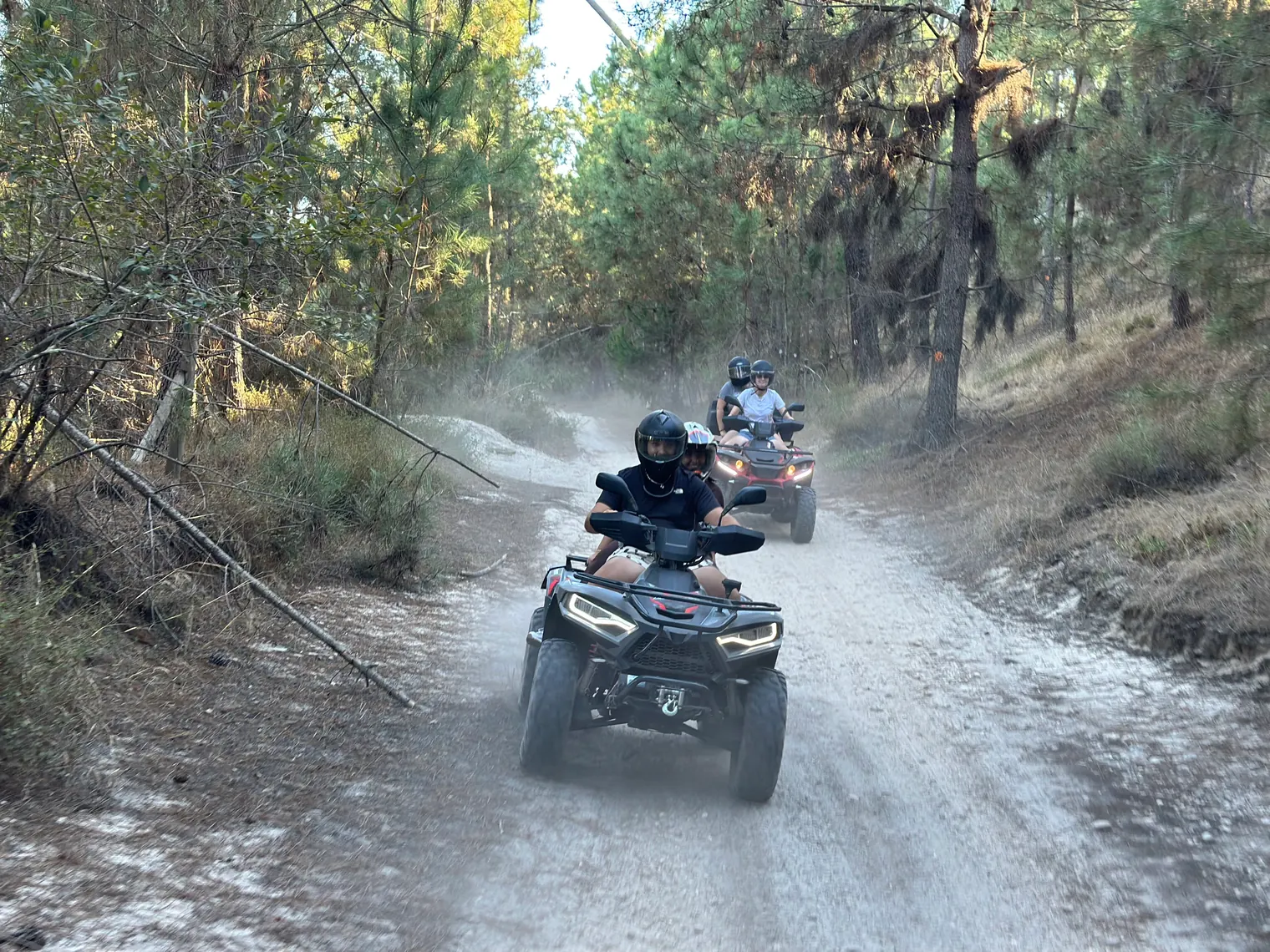 ATVs carrying several riders travel along a dusty forest trail surrounded by pine trees.