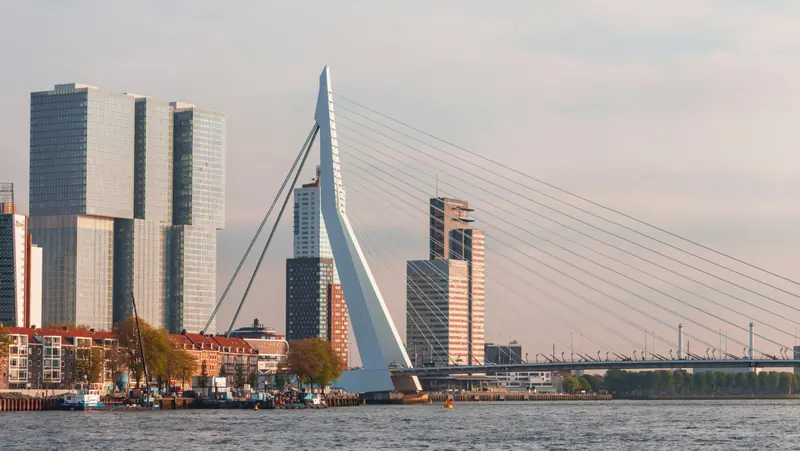 What to visit in Rotterdam?