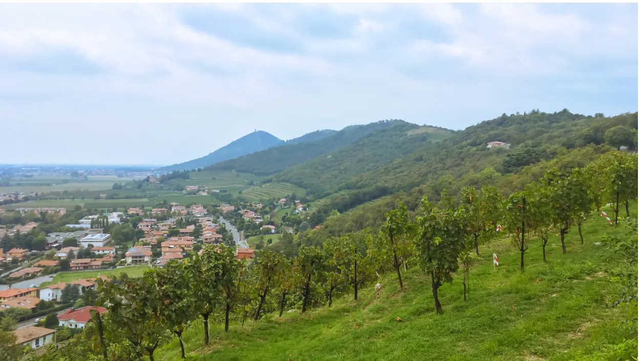 Discovering Wine Tasting Spots in Italy — Franciacorta, Lombardy