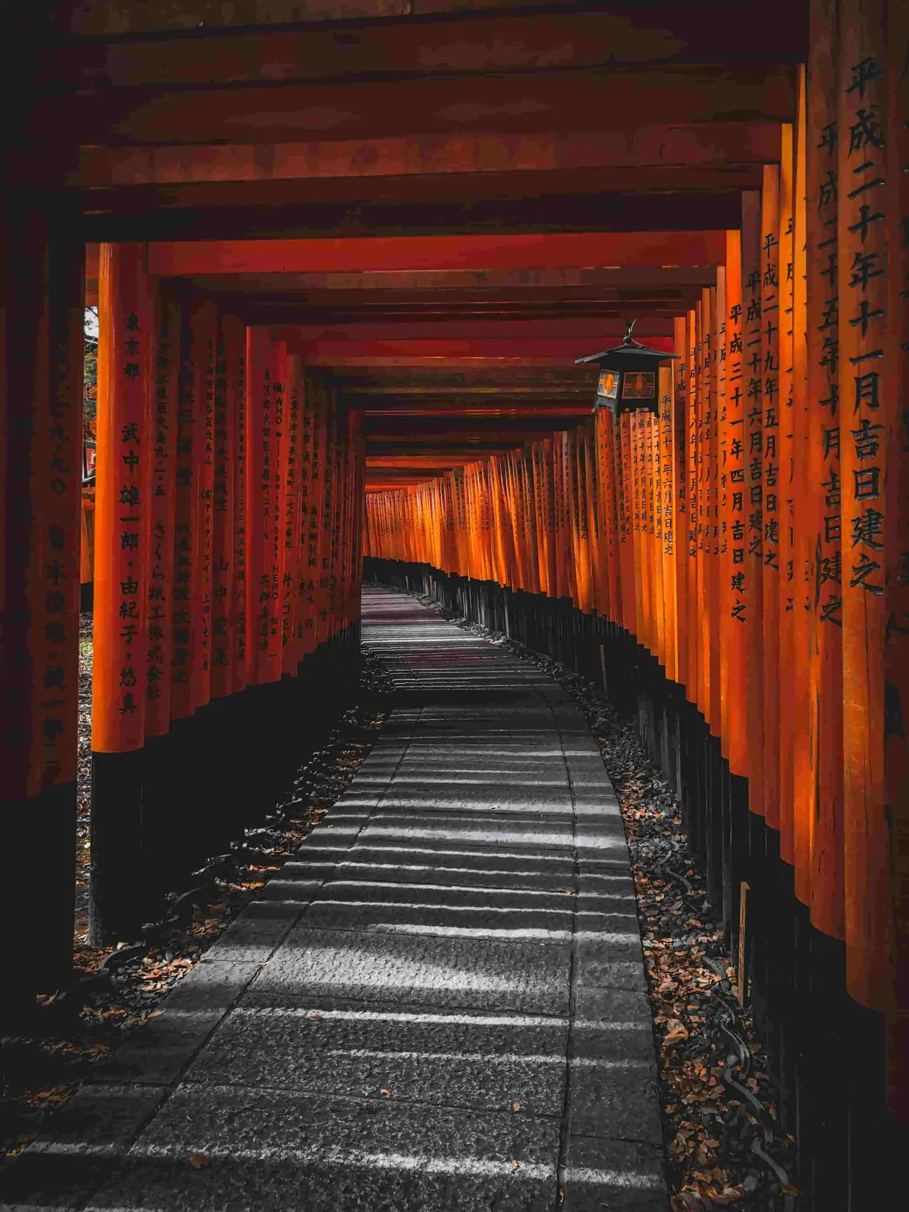 japanese tample Kyoto path